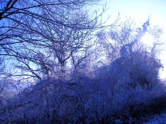 rundgang_raureif_winter_2007_11_20160830_2038833867
