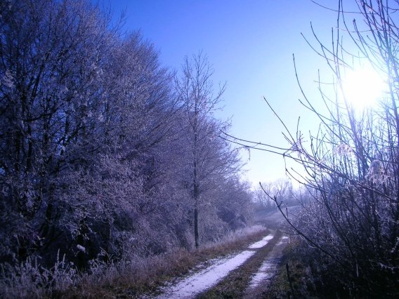 rundgang_raureif_winter_2007_12_20160830_1154411021