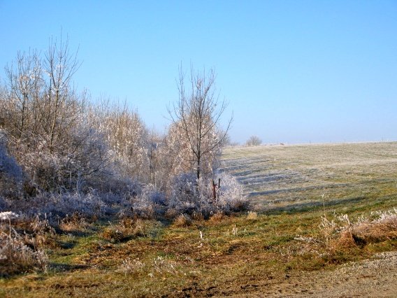 rundgang_raureif_winter_2007_23_20160830_1747277369