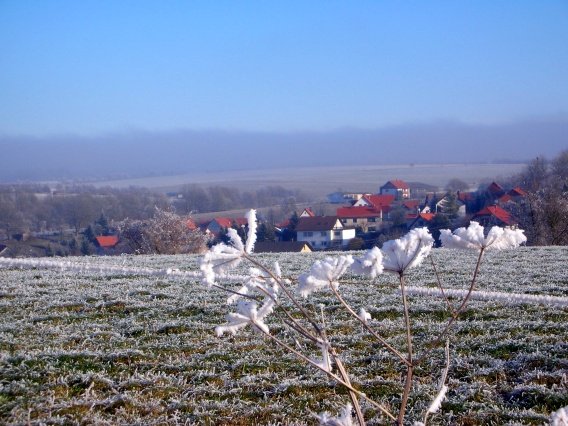 rundgang_raureif_winter_2007_26_20160830_1496086917
