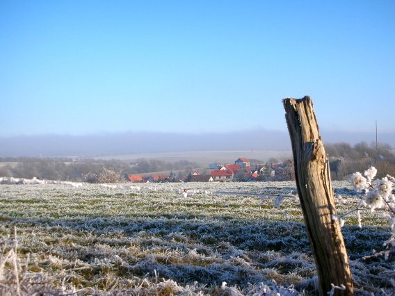 rundgang_raureif_winter_2007_27_20160830_1898489561