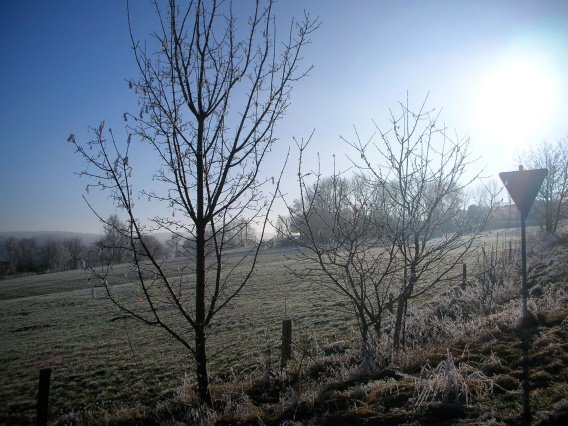rundgang_raureif_winter_2007_38_20160830_1413413755