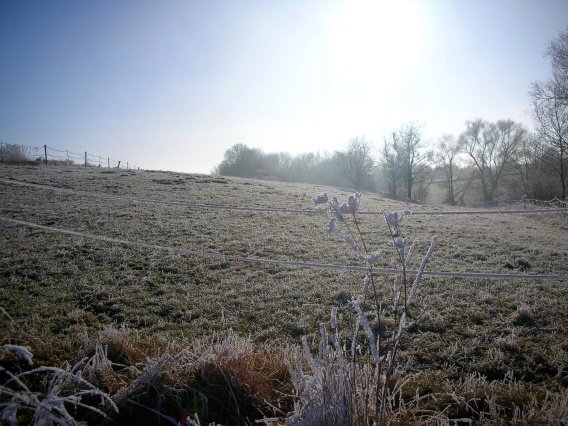 rundgang_raureif_winter_2007_47_20160830_1688669289
