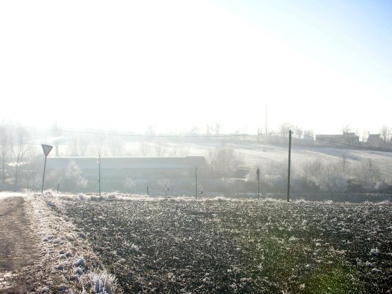 rundgang_raureif_winter_2007_4_20160830_1300048830