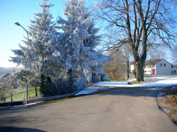 rundgang_raureif_winter_2007_53_20160830_1123856106