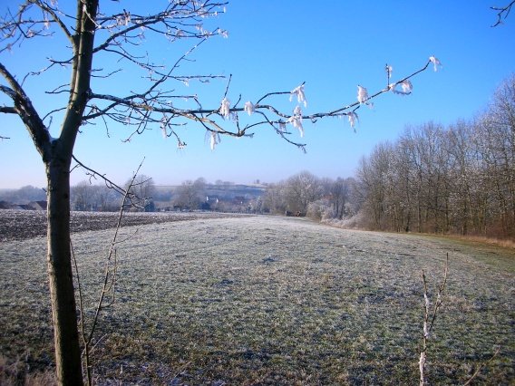 rundgang_raureif_winter_2007_55_20160830_2012185051