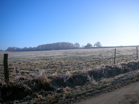 rundgang_raureif_winter_2007_59_20160830_1923336778
