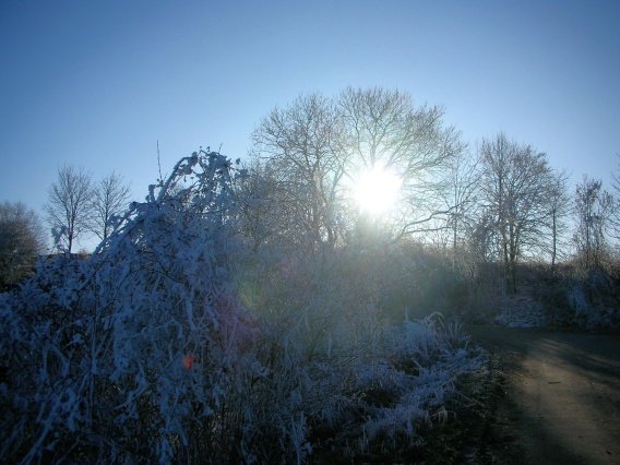 rundgang_raureif_winter_2007_61_20160830_2057246245