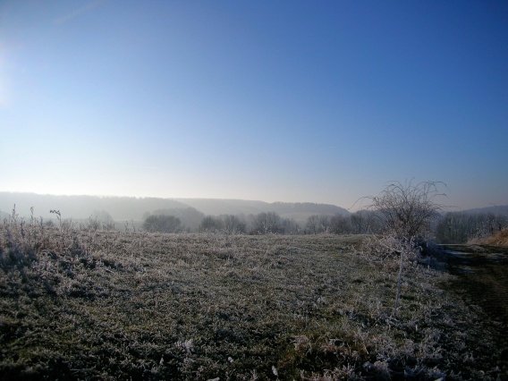 rundgang_raureif_winter_2007_63_20160830_1806535021