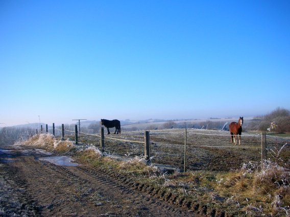 rundgang_raureif_winter_2007_64_20160830_1860446769