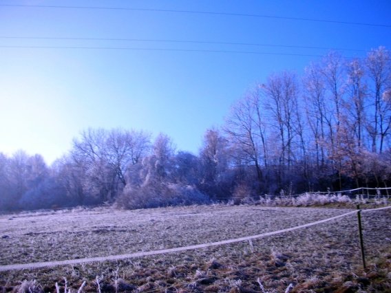 rundgang_raureif_winter_2007_7_20160830_2075588470