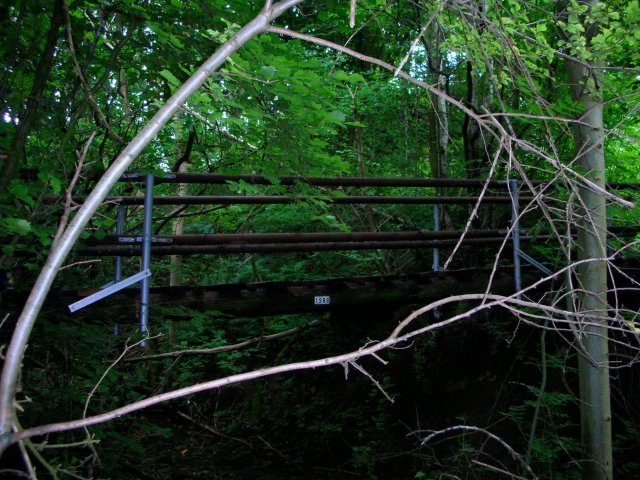 DSCN4382.JPG