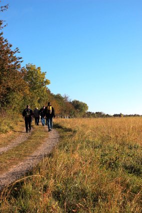 hr4_wandertag_in_grandenborn_23_20160830_1338172429